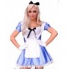 Sensual Alice in Wonderland Costume