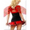 Lady Bug