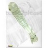 Seahorse Glass King Dildo