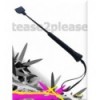 Two-sided Spiked Riding Crop