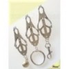 Chained Nipple Clamps